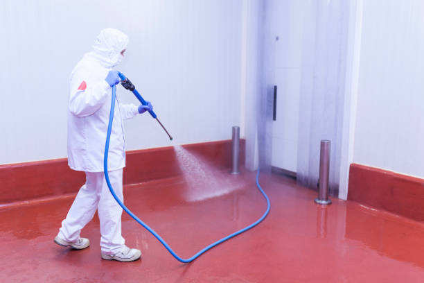 Best Roof Washing  in Greenville, PA